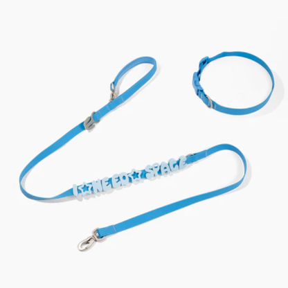 L'Essentiel Collier & Laisse