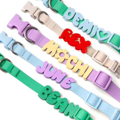 L'Essentiel Collier & Laisse